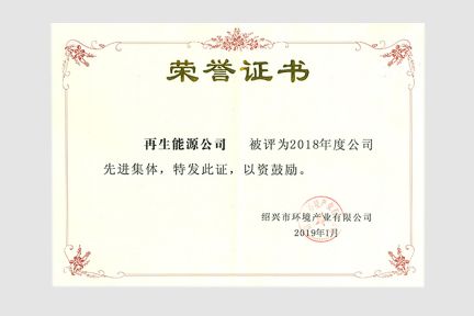 2019年1月再生能源公司被評(píng)為2018年度公司先進(jìn)集體